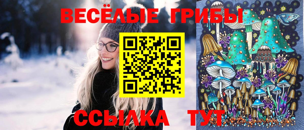 Кемерово  Псилоцибиновые грибы Magic Shrooms  Вход с VPN  Псилоцибиновые грибы Psilocybine cubensis 
